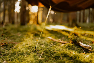 thp Original Ground Stakes