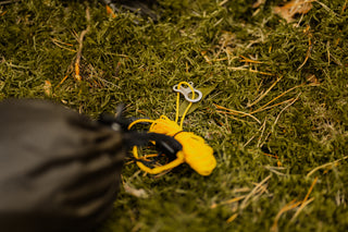 thp Original Splitted Ridgeline